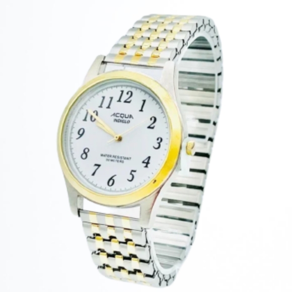 Acqua Indiglo Men's Steel Gold Tone Watch - Picture 1 of 10